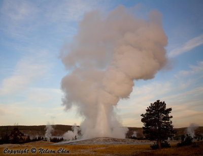Old Faithful in the morning light