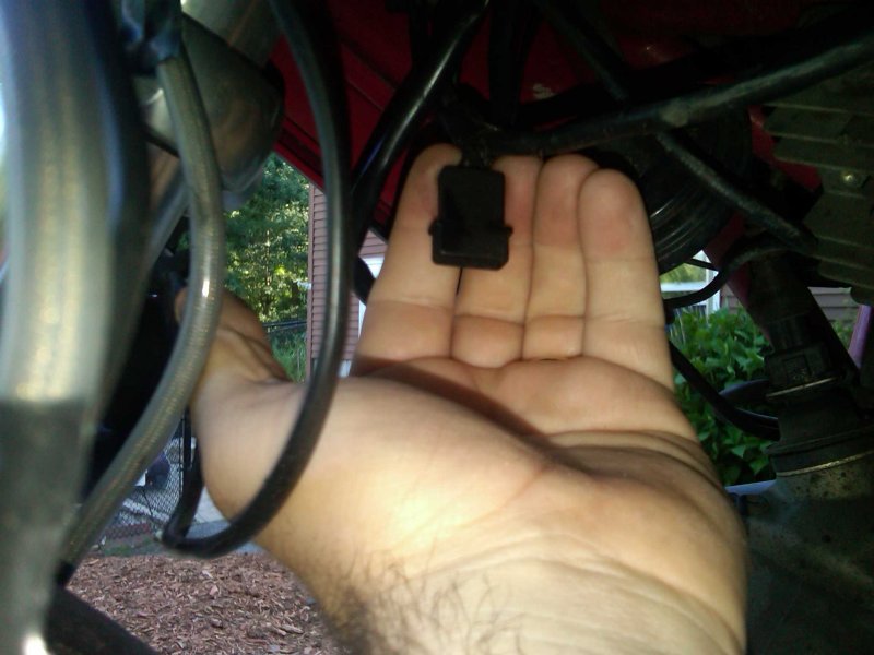 IMG00814-20100705-1657.jpg