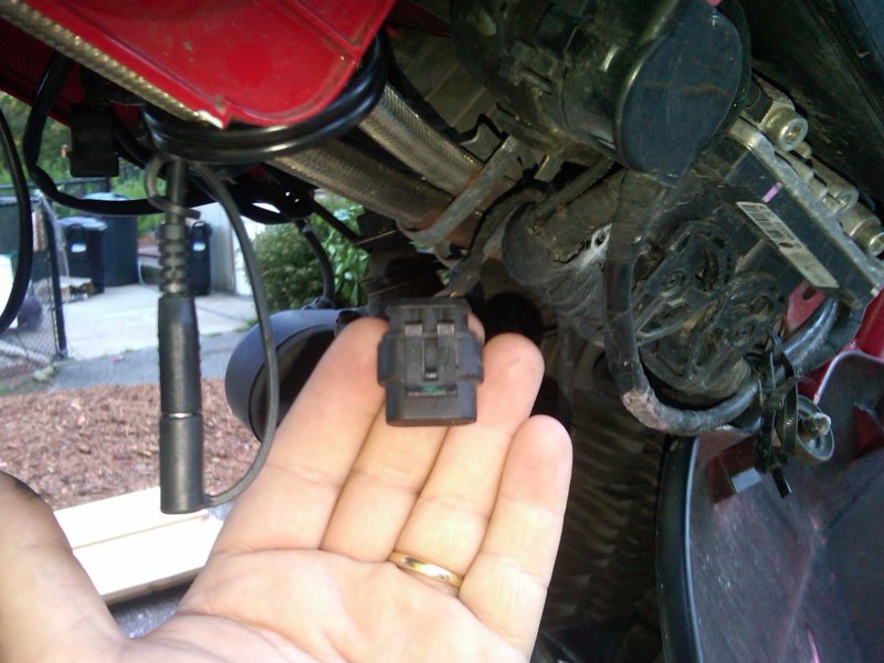 IMG00812-20100705-1656.jpg