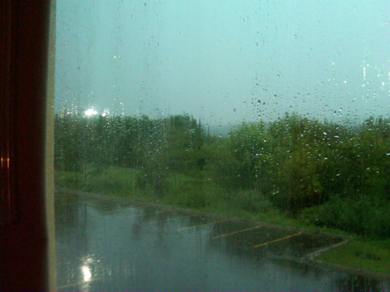 IMG00897-20100717-0754.jpg
