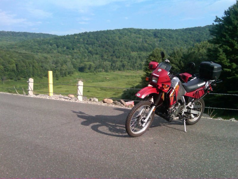IMG00932-20100721-0800.jpg