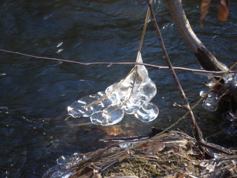 DSC05092.JPG