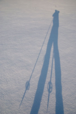 X-C skiing in Brown Deer Park, my shadow