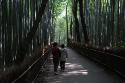 Bamboo forest, Arashiyama, Kyoto