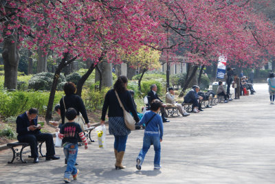 Ueno Park, Tokyo