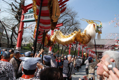 Steet performers with dragon, Senso-ji, Asakusa Tokyo