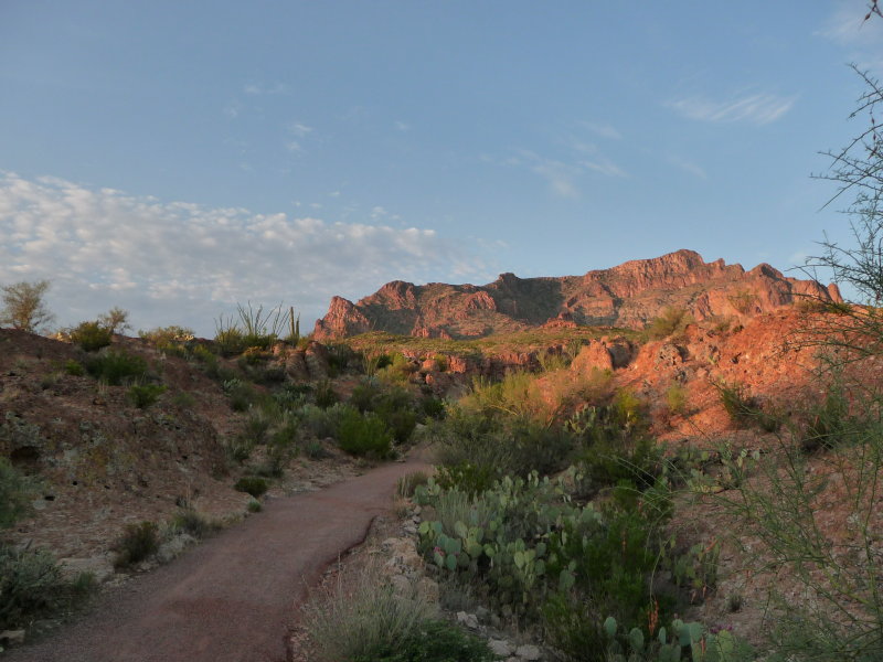 Trail above the Lake