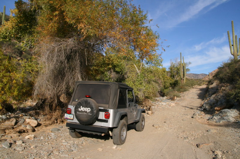 Whitford Canyon