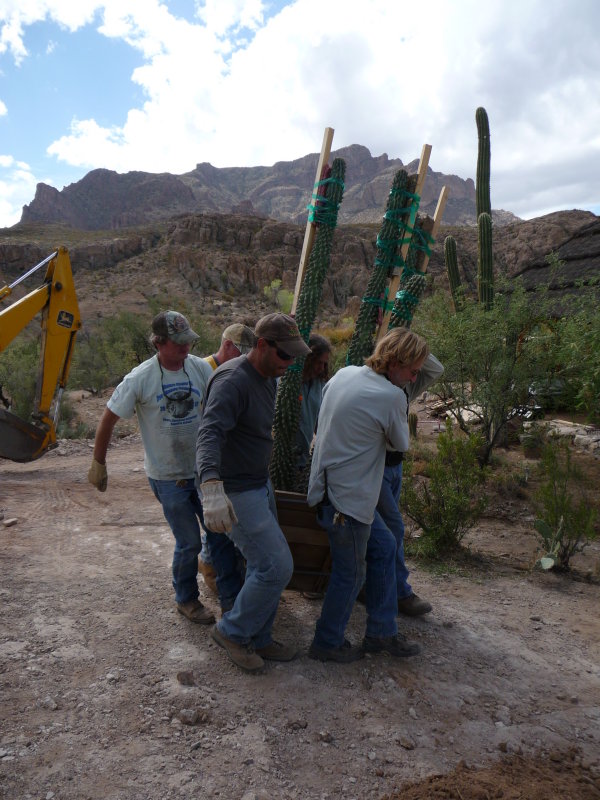 Teamwork at Boyce Thompson Arboretum