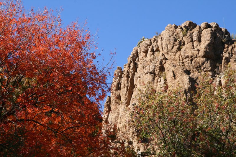 Autumn Leaves and Magma Ridge