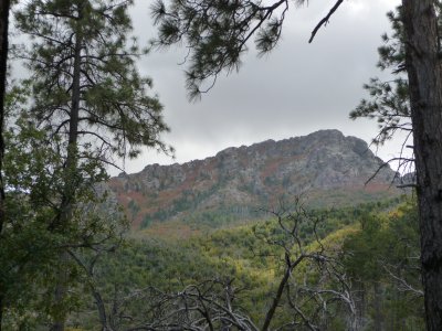 Fall color on Four Peaks