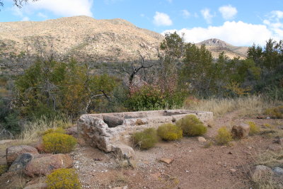 Old trough at Cline Cabin site