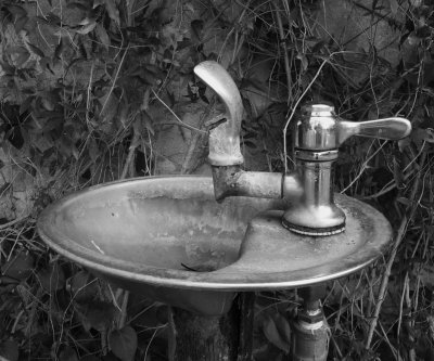 Drinking Fountain in Herb Garden