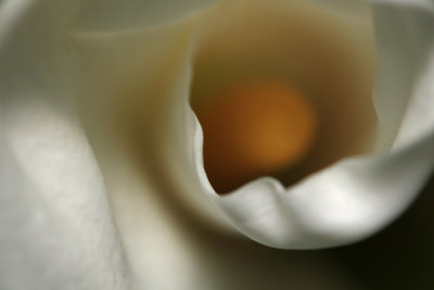 g1/67/632867/3/110826465.EtqxeToL.jpg