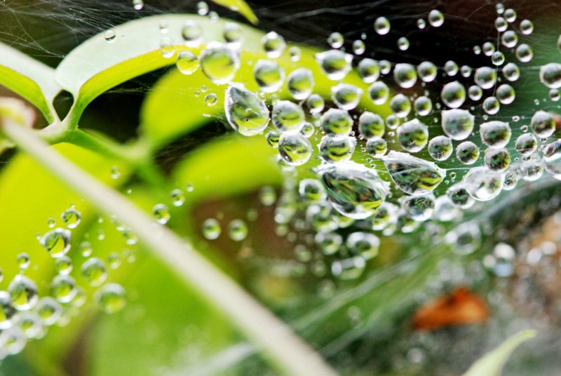 g1/67/646567/2/129513788.Nmfy2nb2.jpg