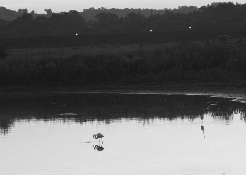 DUSK AT THE OXBOW IN BLACK & WHITE