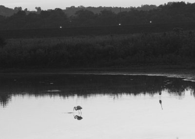 DUSK AT THE OXBOW IN BLACK & WHITE