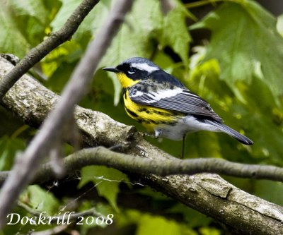 IMG_2281.jpg