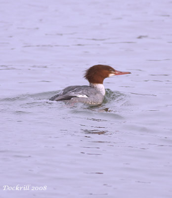 IMG_4568.jpg