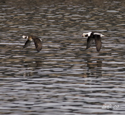 _MG_5673.jpg