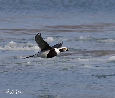 _MG_5907.jpg