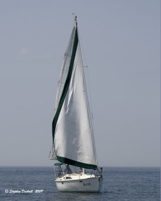 _MG_6474.jpg