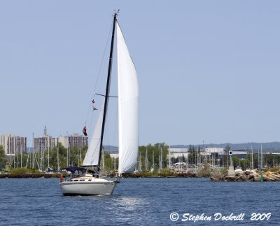 _MG_6484.jpg