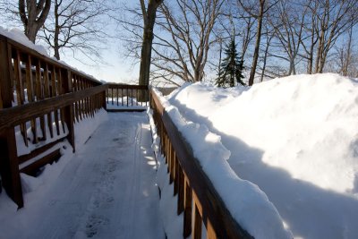 Mar092008_0065.jpg
