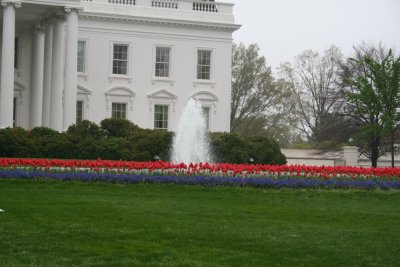 whitehouse fountain.JPG