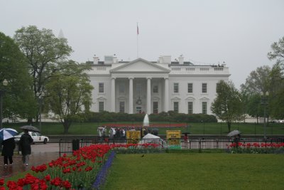 whitehouse.JPG
