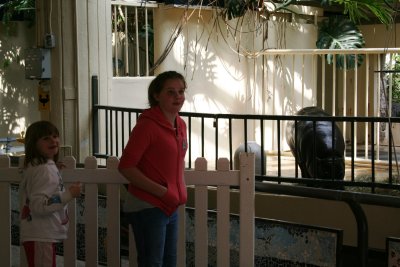 kids national zoo.JPG