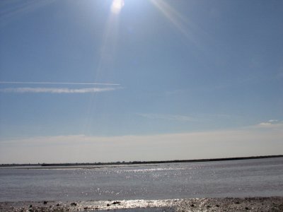 IMG_3246.JPG