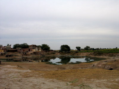 IMG_3349.JPG