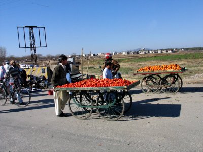 IMG_3634.JPG