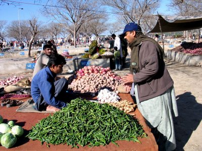 IMG_3647.JPG