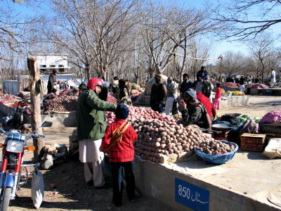 IMG_3650.JPG