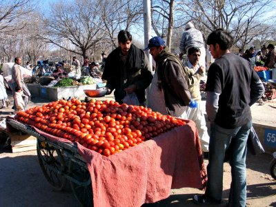 IMG_3654.JPG