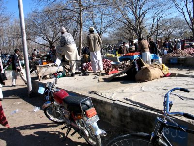 IMG_3656.JPG