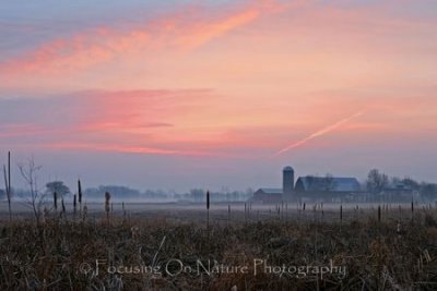 Foggy farm sunrise