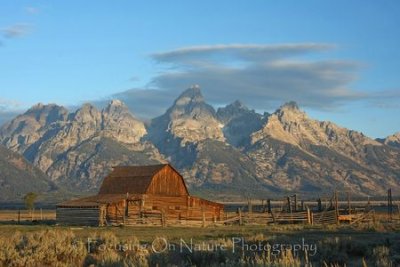 Mormon row barn and tetons