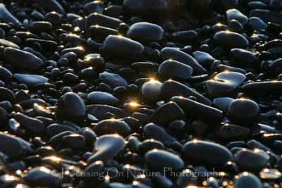 Sunrise glinting off of pebbles