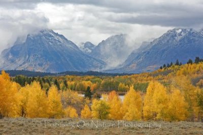Tetons and fall colors