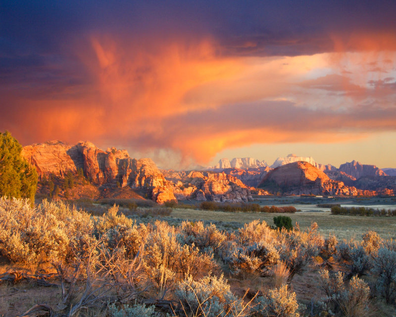 Kolob Plateau Zion NP Image 2257 Composite d 16x20.jpg