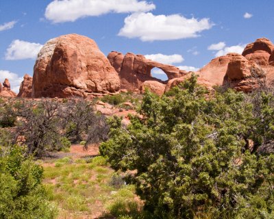 Skyline Arch _MG_4325.jpg