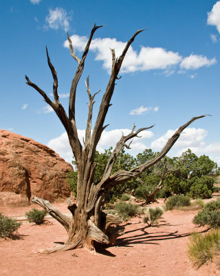 Near Sand Dune Arch _MG_8788.jpg