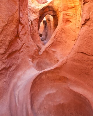 _MG_7015.jpg