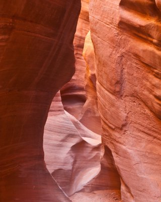 _MG_7084.jpg