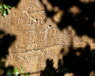 Petroglyphs _MG_5686.jpg