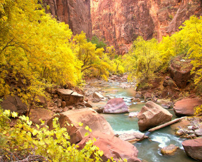 Zion Narrows Image 3170.jpg