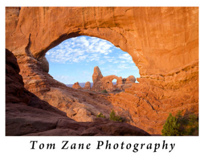 Tom Zane Photography Cover